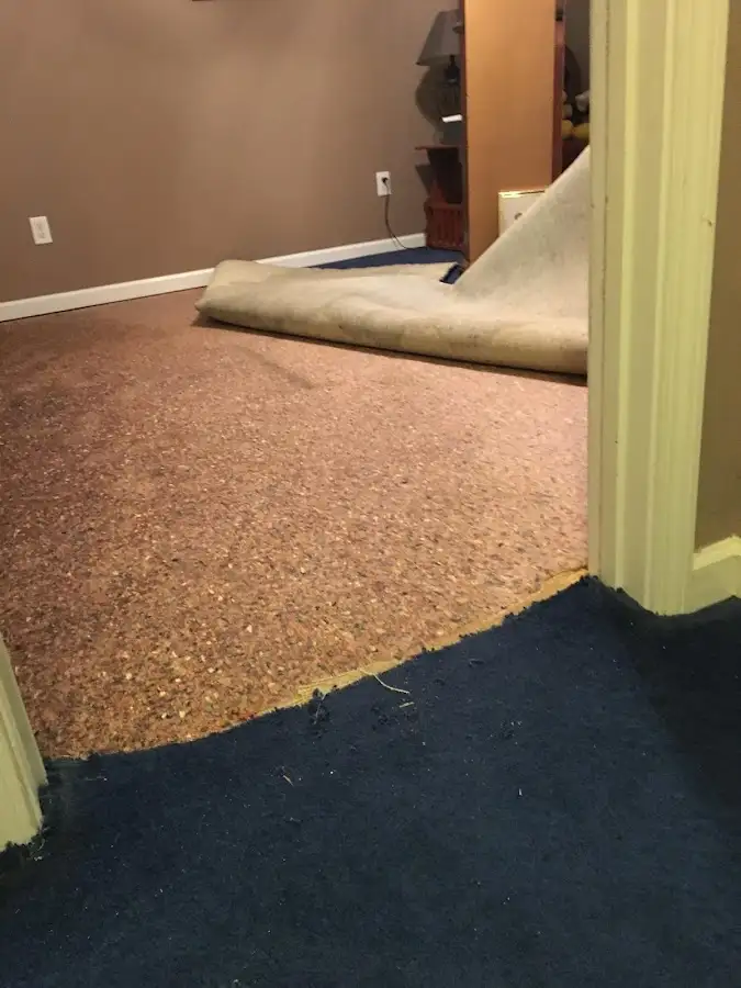 Carpet pad removal revealing water damage during Water Mitigation Services in Walworth