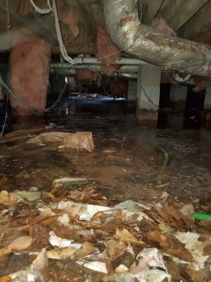 Crawl space flood assessment for Leak Detection & Repair in Walworth