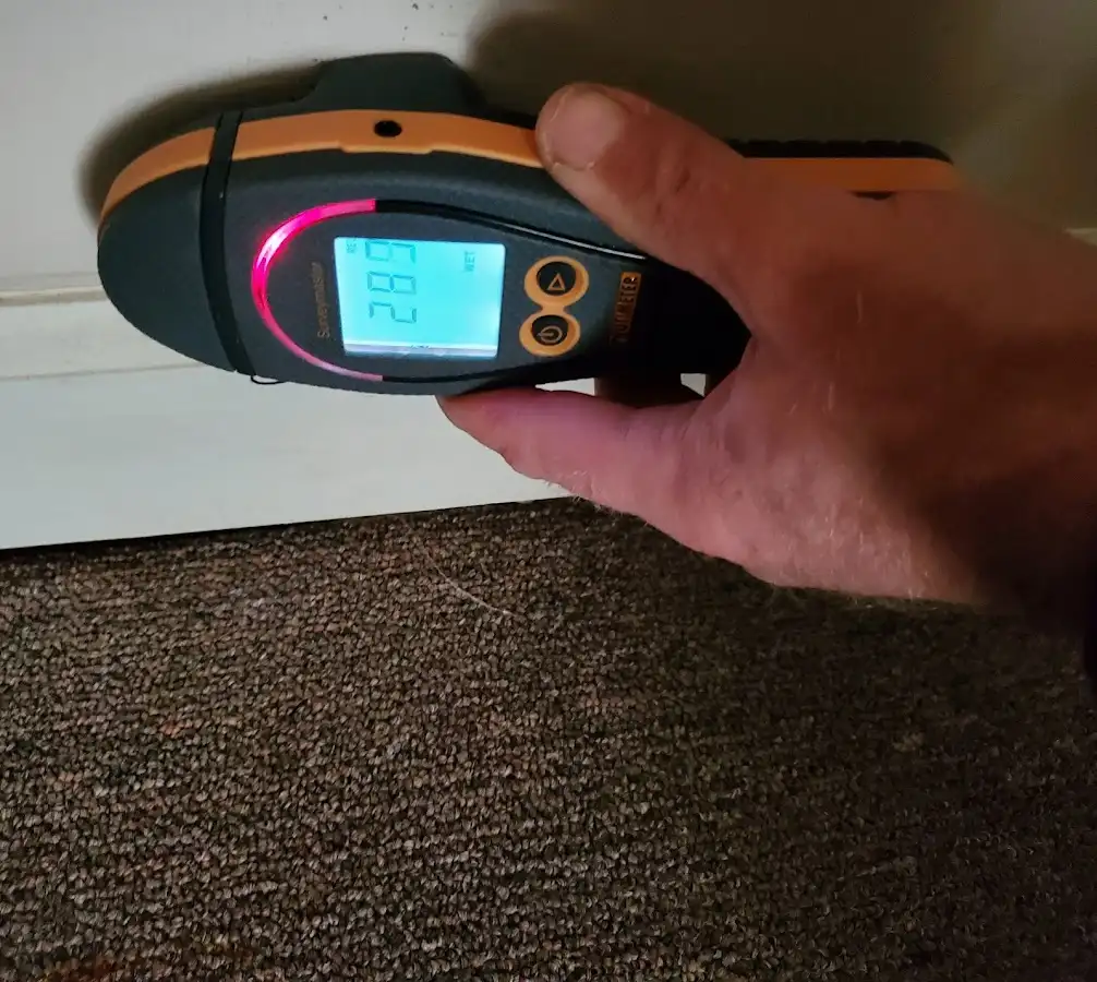 Moisture detection at baseboard during Sewage Cleanup & Sanitation in Walworth